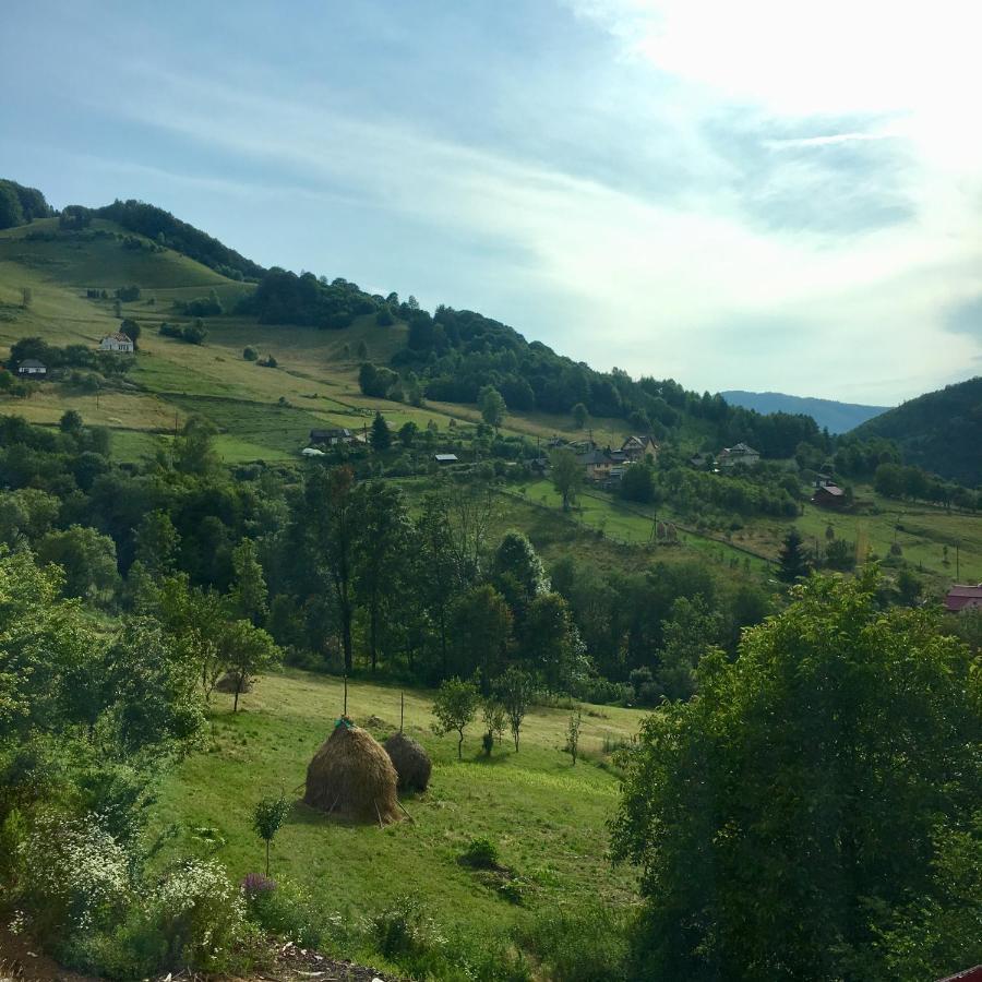 Cabana Baraj Apuseni Mountains Mihoesti المظهر الخارجي الصورة